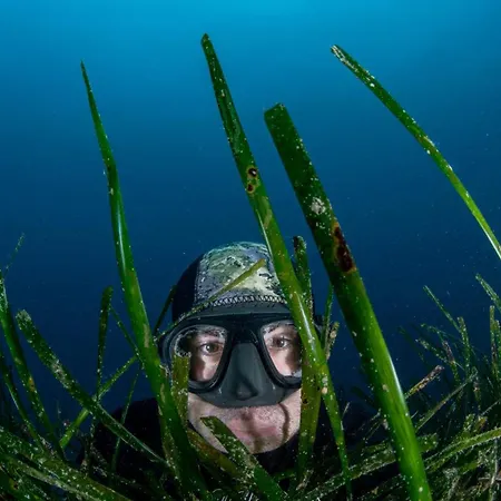 Casa Fiorita Tatil Evi